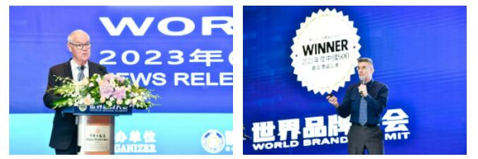 权威认证 南宫NG·28(中国)相信品牌的力量入选中国500最具价值品牌