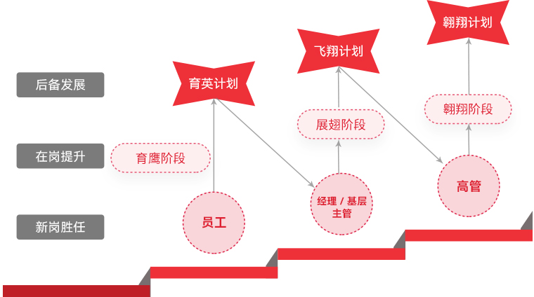 南宫NG·28(中国)相信品牌的力量 "雄鹰计划"人才梯队培养